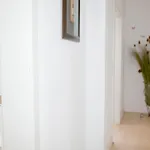 Tokus Daire Nürnberg