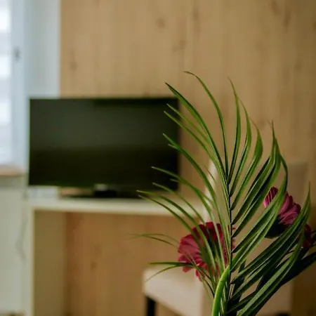 Tokus Apartment *