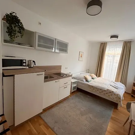 Tokus Apartment Nuremberg