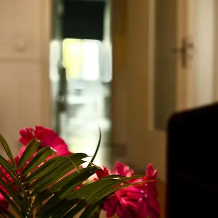 Appartement Tokus